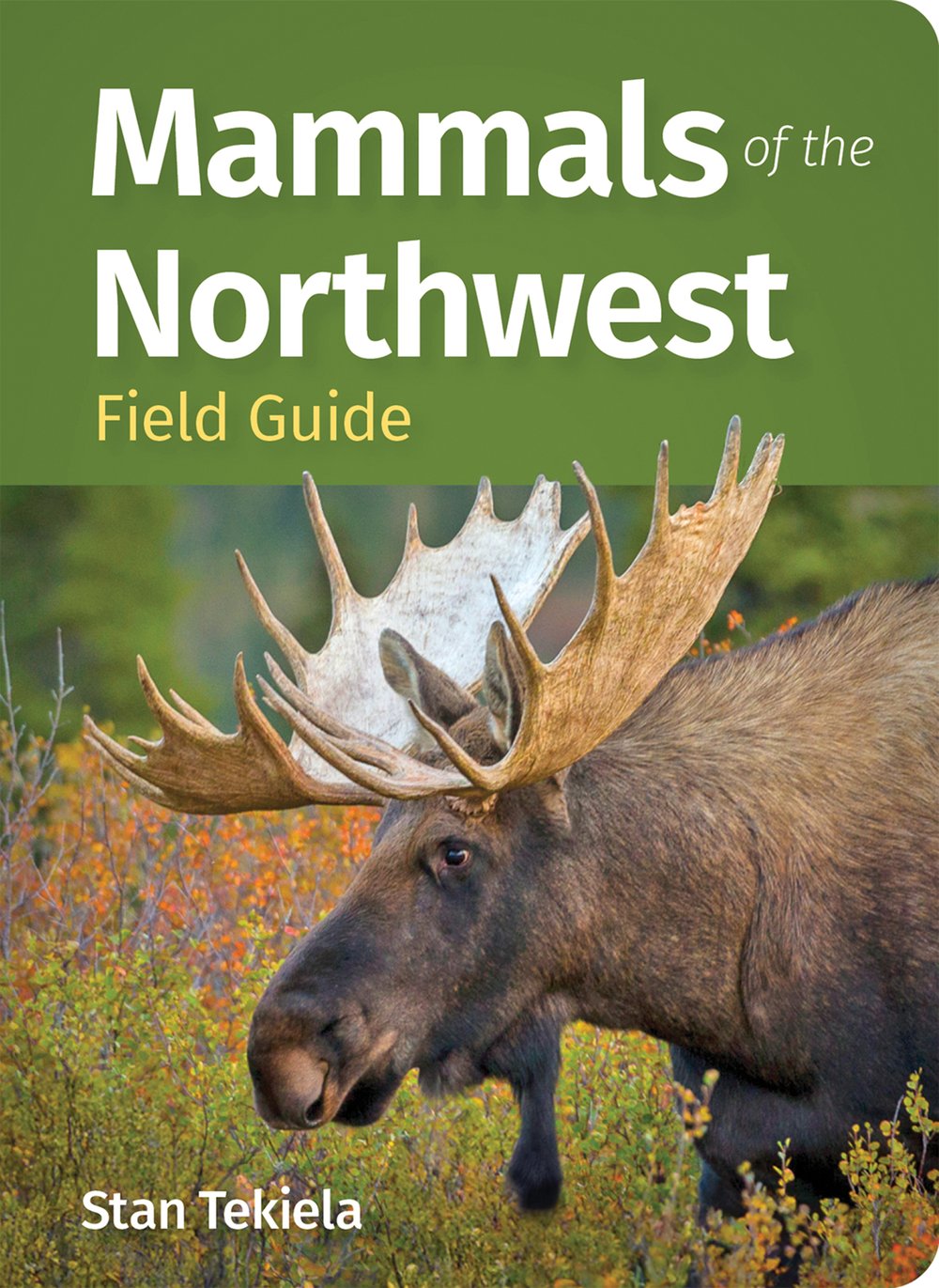 Mammals of the Northwest Field Guide | NewSouth Books